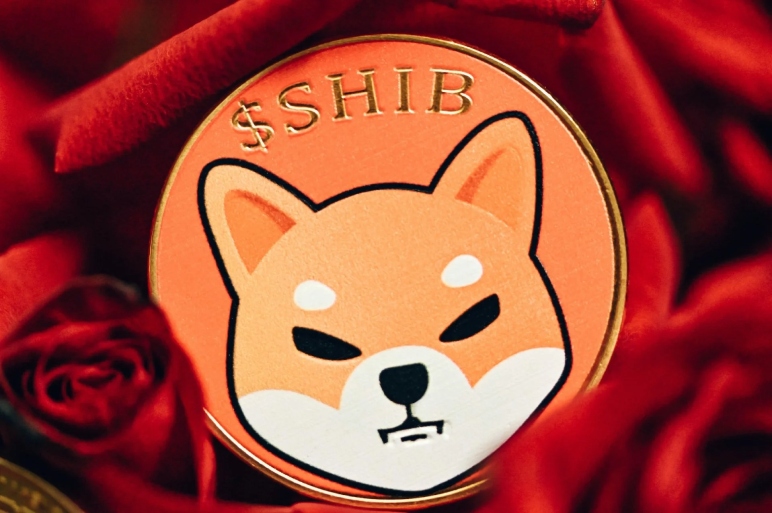 What Is The Shiba inu coin (SHIB)?