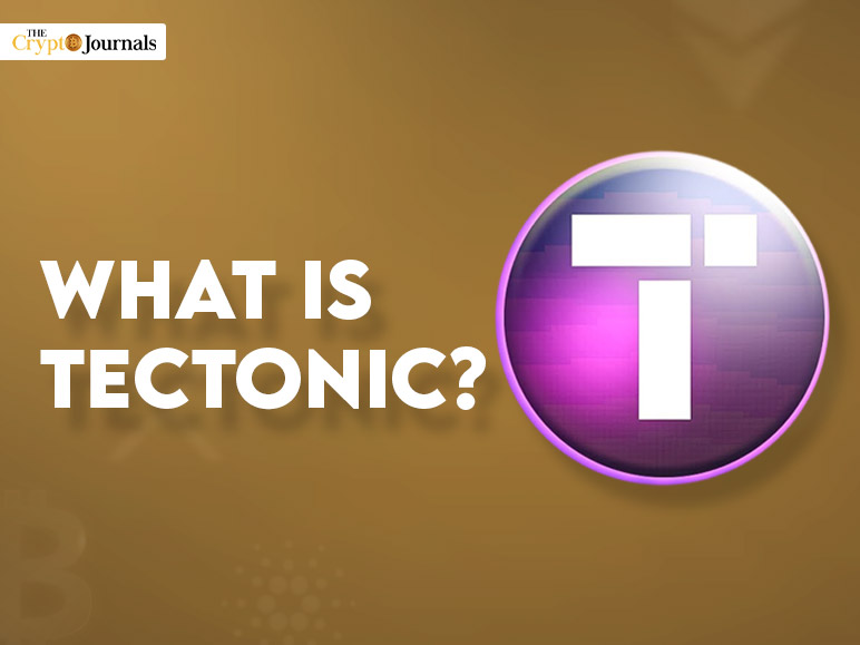 What Is Tectonic?